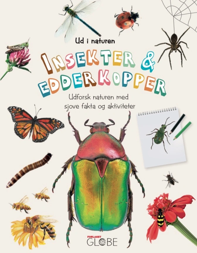 Billede af Insekter og edderkopper