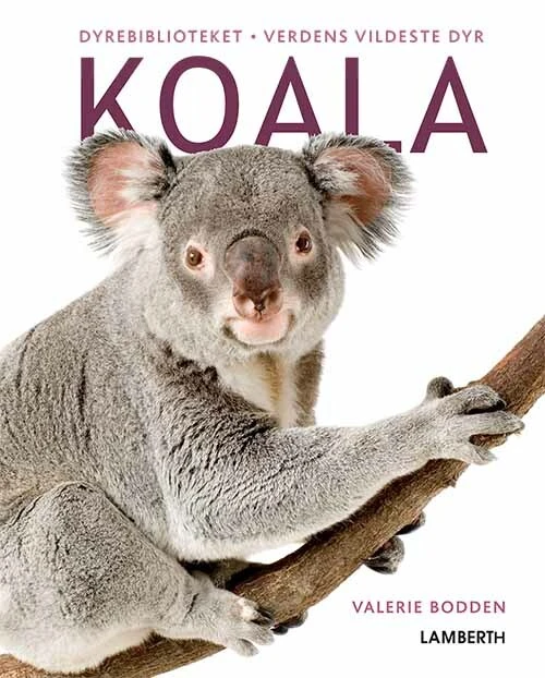 Billede af Koala