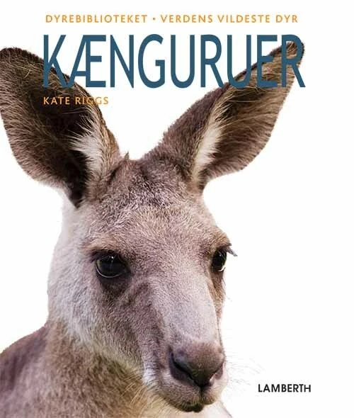 Billede af Kænguruer