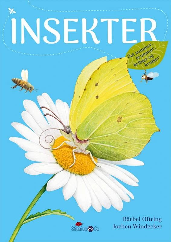 Insekter