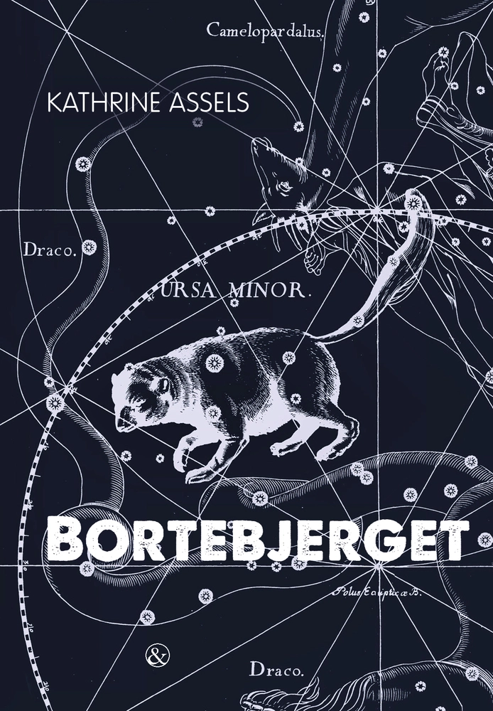 Bortebjerget