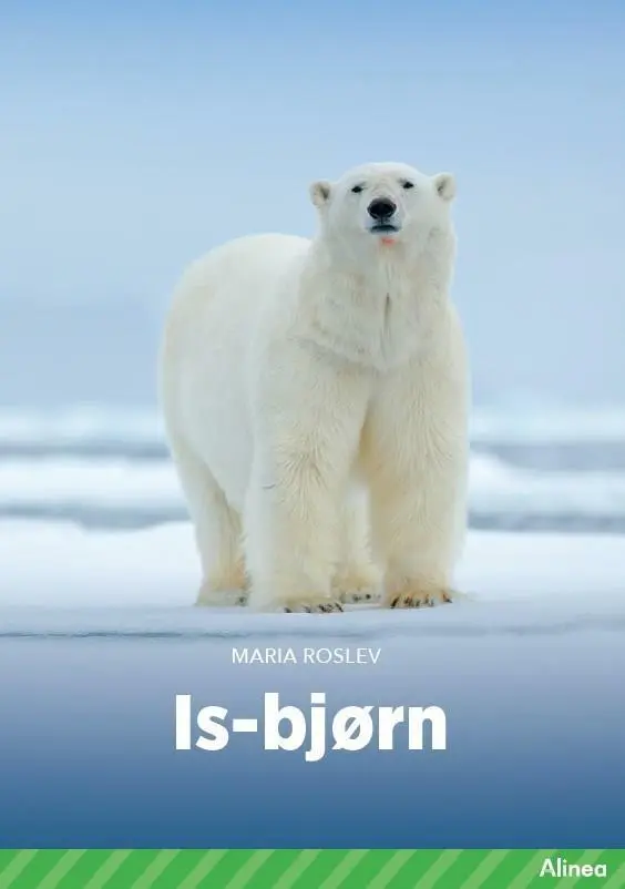 Billede af Isbjørn, Grøn Fagklub hos Legekæden