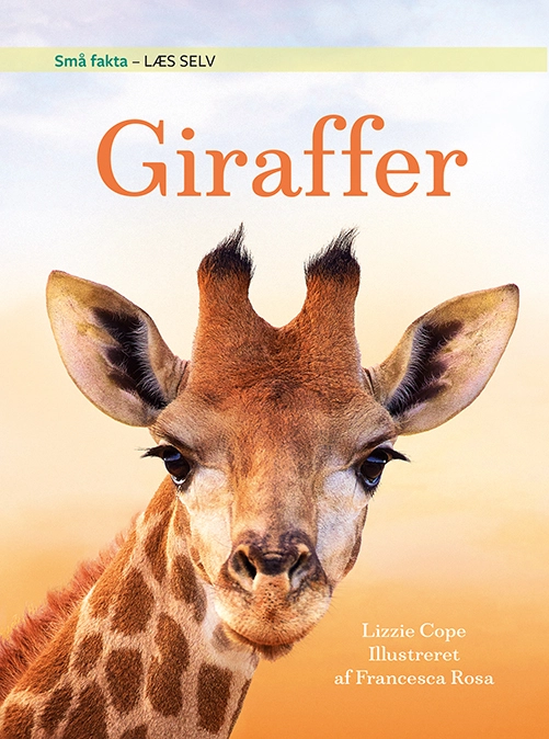 Se Små fakta: Giraffer hos Legekæden