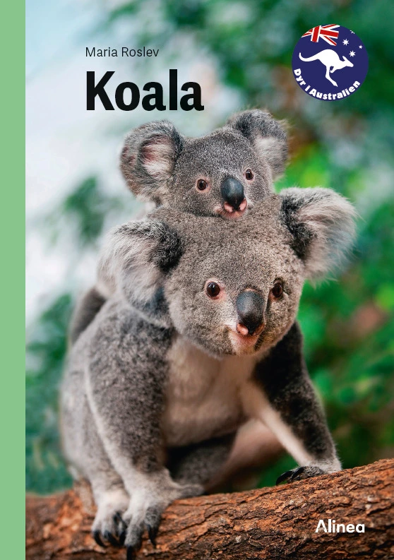 Billede af Koala, Grøn Fagklub