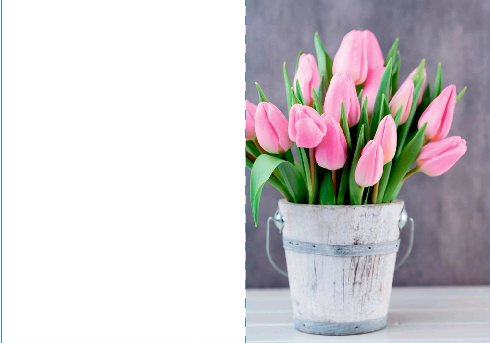 Kort 4/4 m/konvolutter tulipaner/blomster årstiden billede