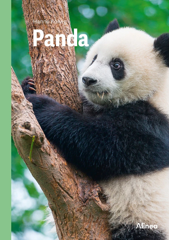 Se Panda, Grøn Fagklub hos Legekæden