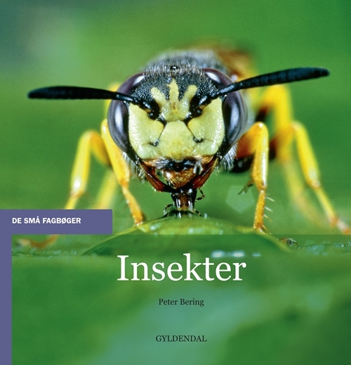 Billede af Insekter