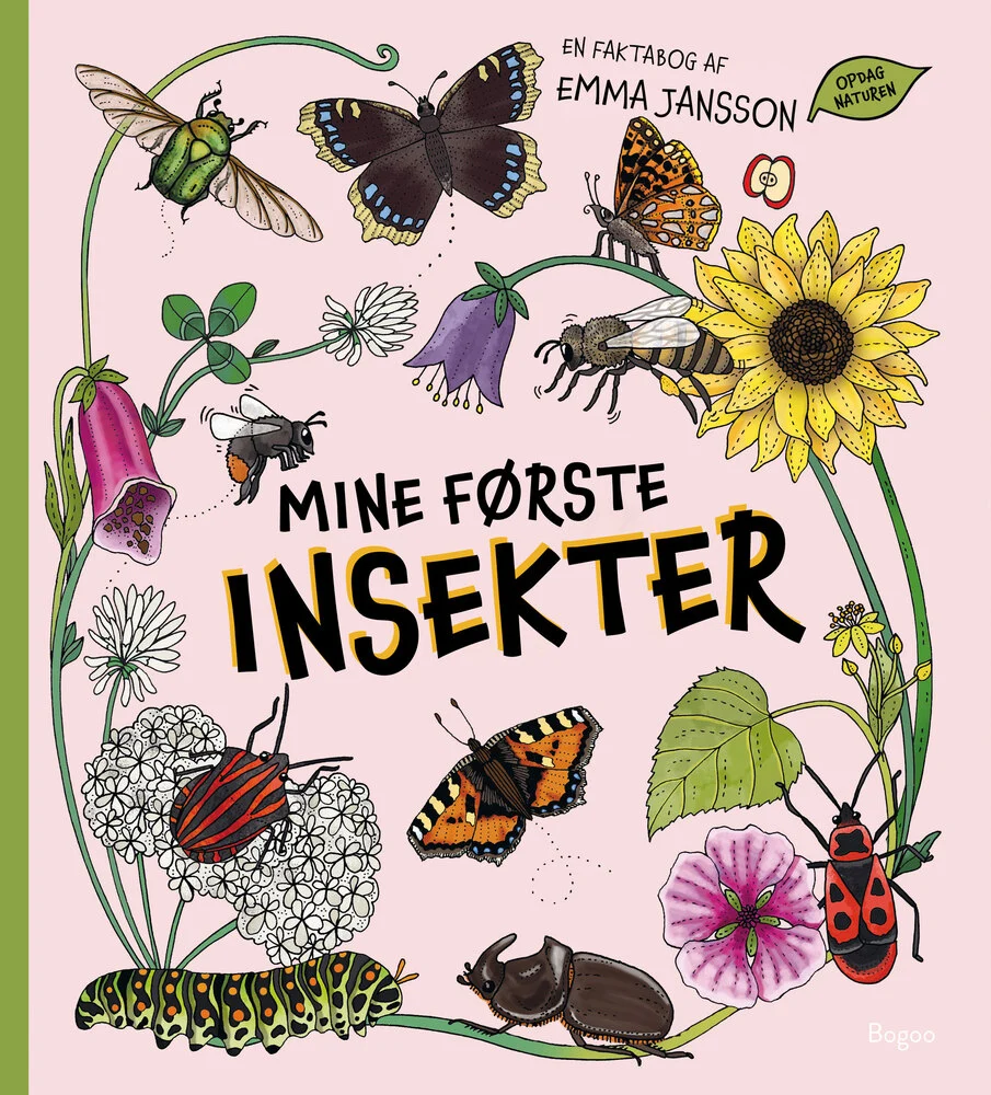 Mine første insekter