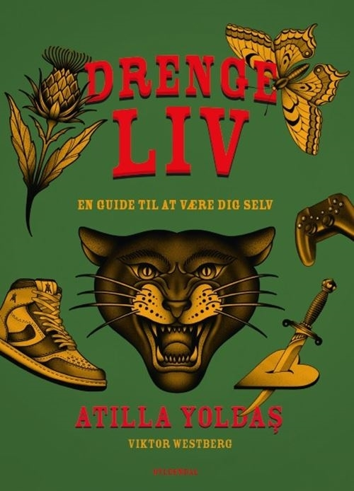 Drengeliv - en guide til at være dig selv