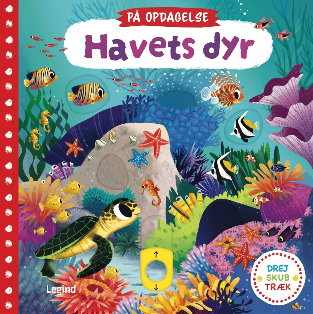 På opdagelse - Havets dyr