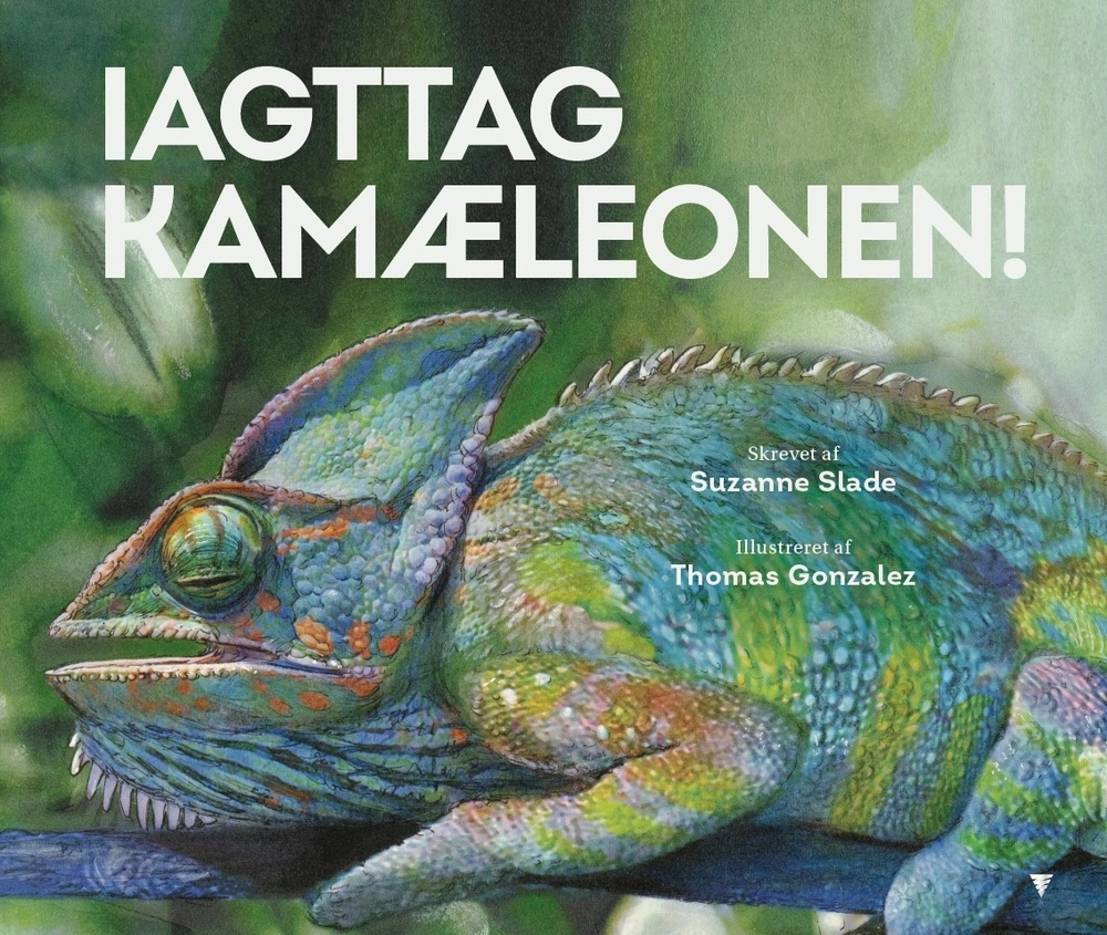 Iagttag kamæleonen