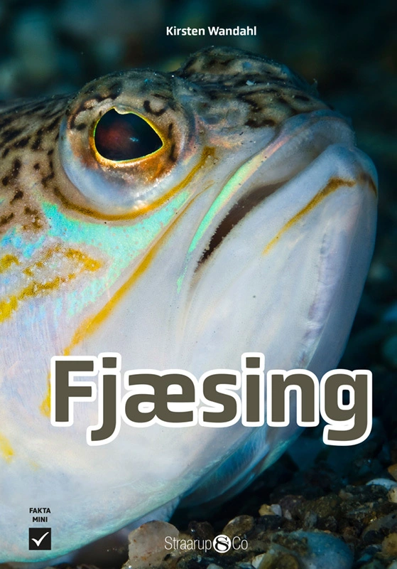 Fjæsing