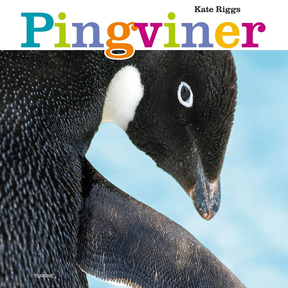 Pingviner