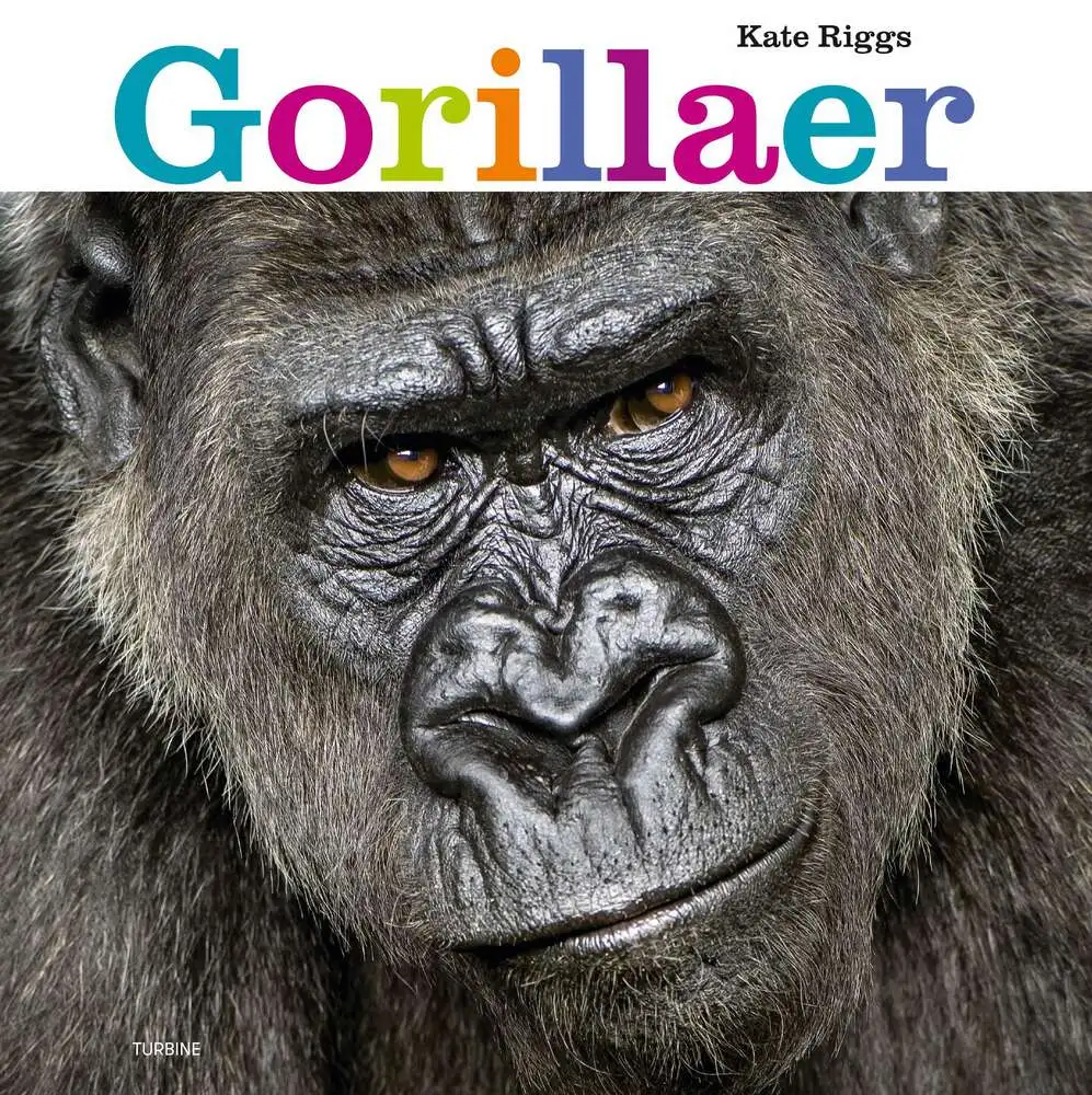 Gorillaer